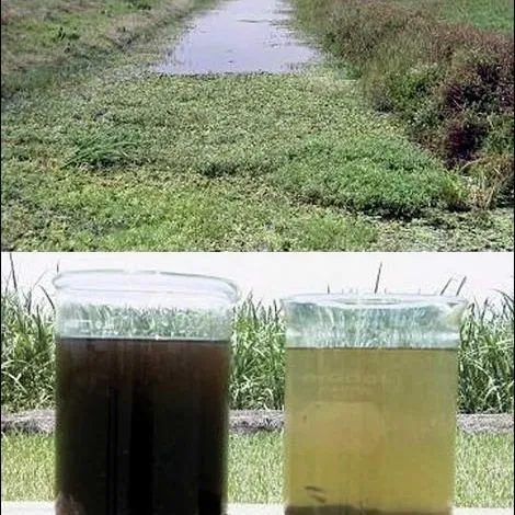 thumbnail for publication: Best Management Practices in the Everglades Agricultural Area: Fertilizer Spill Prevention